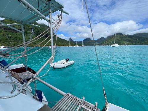 French Polynesia Boat Rental | Catamaran Amaya - séjour insolite sur le lagon de Moorea