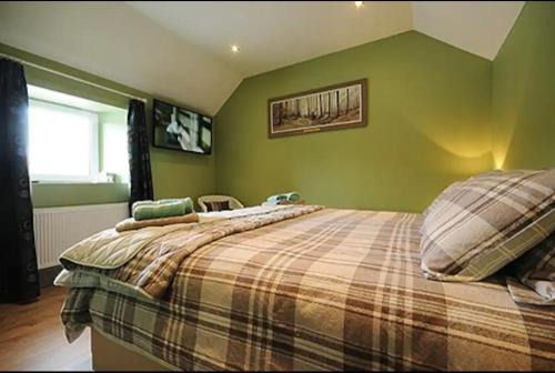 Shillelagh House | Central House