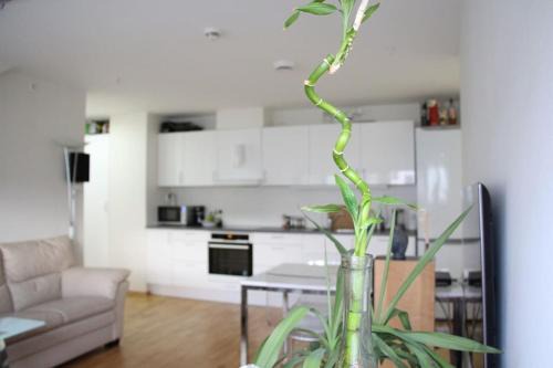 Grunerlokka Apartment | central, new, 2 bed rooms, fully furnished