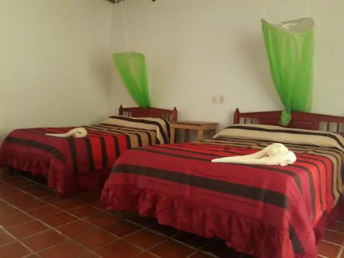 Lacanja Other | Centro Ecoturistico Ya´ajche