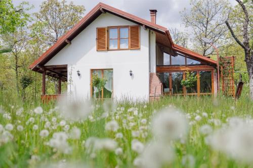 Vaideeni House | Cerdacul din Livada - Căsuța din Livadă