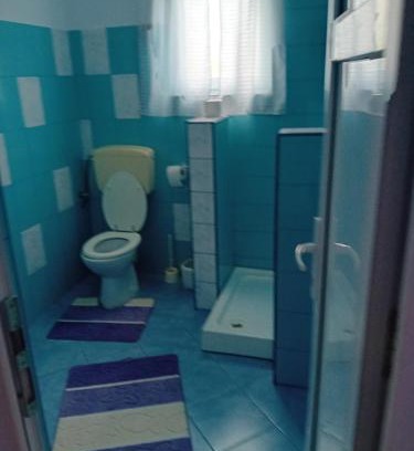 Arbore House | Cetină de brad