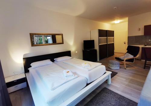 Bergheim Apartment | CF13 30m2 Central with Terrace AC and Netflix