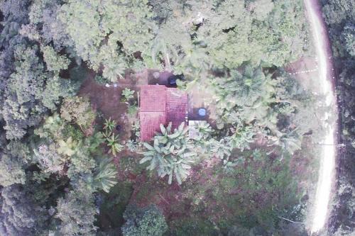Morretes House | Chácara na Mata Atlântica