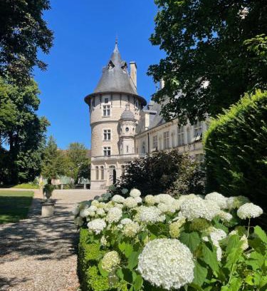 Montigny-sur-Aube Bed & Breakfast | Château de Montigny-sur-Aube