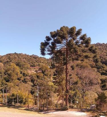 Santo Antonio do Pinhal House | Chalé da Lu