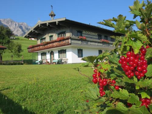 Walchsee Apartment | Chalet Glockenhof