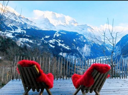 Wengen Apartment | Chalet Mönchsblick