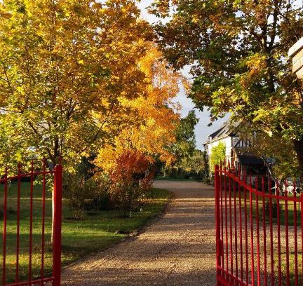 La Foret Du Parc Bed & Breakfast | Chambre d'hôtes - Le jardin des Patissons