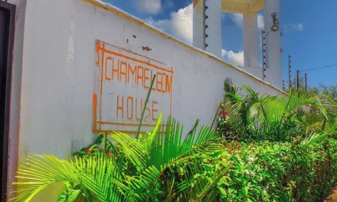 Kwale House | chameleon house 2