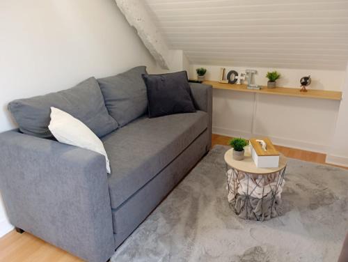 La Madeleine-Bellevue Apartment | Charmant appartement Saint-Malo