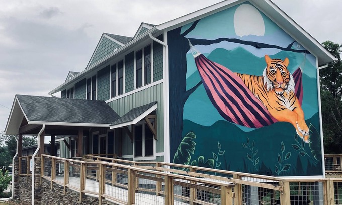 Woodfin Bed & Breakfast | Charming 5-bedroom hostel north of downtown Asheville sleeps 24!