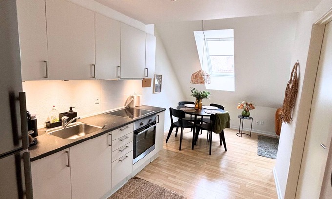 Odense Apartment | Charming apartment in the heart of Odense with roof view