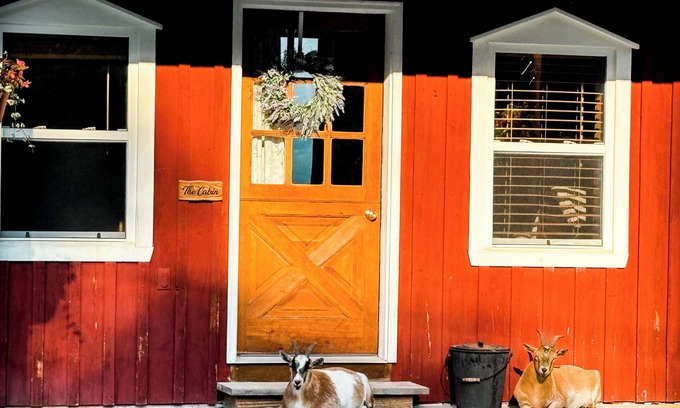 Portage House | Charming Cabin on horse farm minutes from Letchworth State park