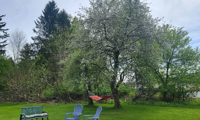 Allegany House | Charming Classic Village Home walking distance to St. Bonaventure University