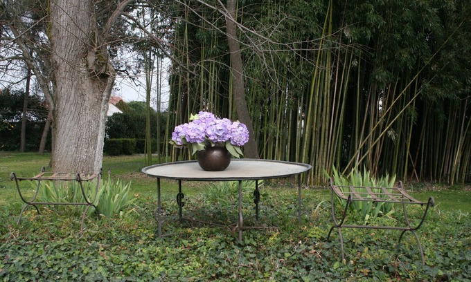 Villeneuve-sur-Lot Cottage | Charming Cottage with Swimming Pool South West