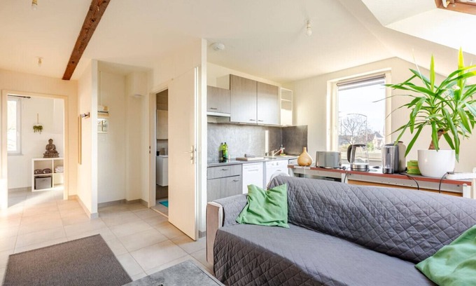 Erstein Apartment | Charming F2 in Erstein Comfort