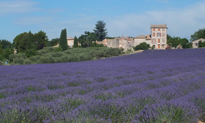 Pont Royal Cottage | CHARMING GITE IN PROVENCE BETWEEN VENTOUX AND LUBERON DETACHED HOUSE