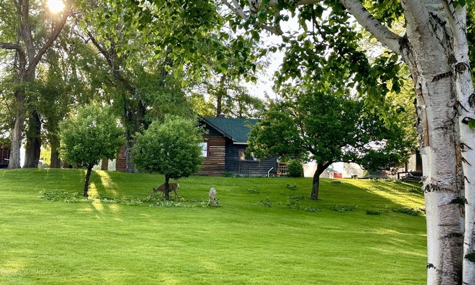 Polson Cabin | Charming rustic cabin with shared lake access and golf course views.