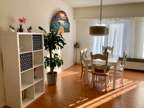 Brasschaat Apartment | Charming Sunny 100m2 Entire Apartment with 2 bedrooms