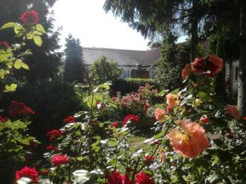 gmina Karnice House | Chata Pod Różą