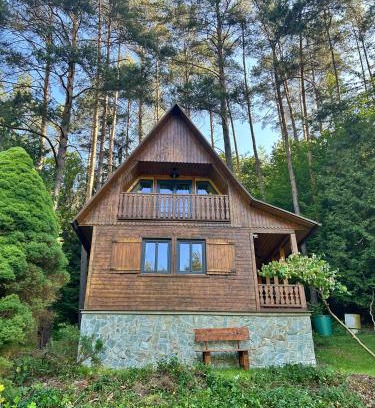 Vselibice Ski Chalet | Chata za dubem