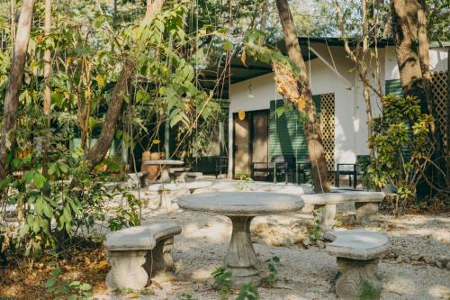 Nosara Other | Chilamate Rainforest Beach Retreat