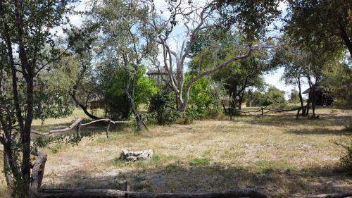 Kachikau Other | Chobe Hideaway