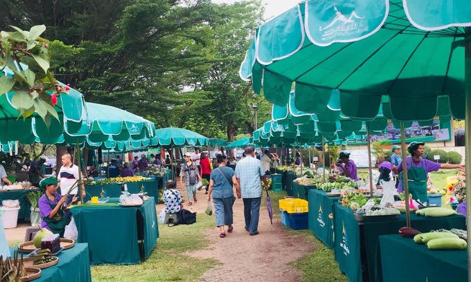 Surin House | City around with atmosphere of love, friendly people and lovely the elephant.