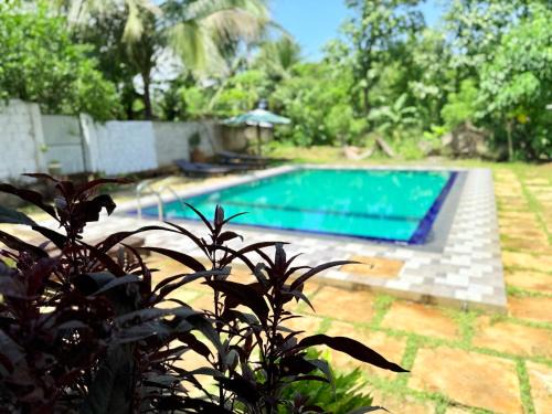 Udawalawa House | City View Safari Resort