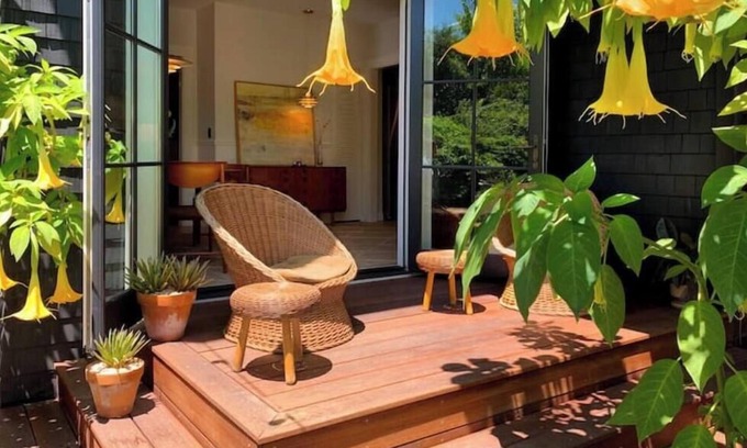 Downtown Berkeley Apartment | Classic Bright Modern Spacious 1bd/1ba Apartment