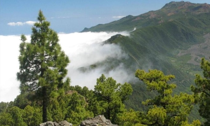Santa Cruz de la Palma Apartment | Classic Apartment In Santa Cruz De La Palma OFFER JUNE 12 TO 21