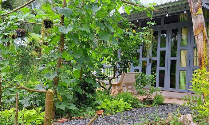 Giong Trom House | Coco Happy Farm