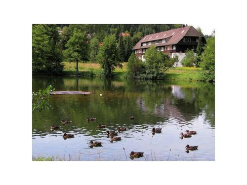Herrischried House | Comfortable holiday residence on the lake