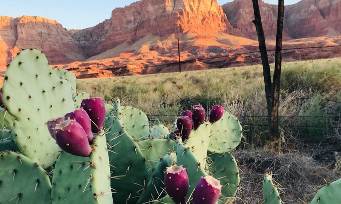 Marble Canyon House | Comfortable Home with Breathtaking Views of the Vermilion Cliffs Wilderness