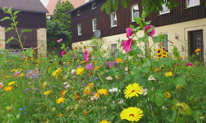 Weißig Apartment | Comfy Apartment in Weißig with Garden