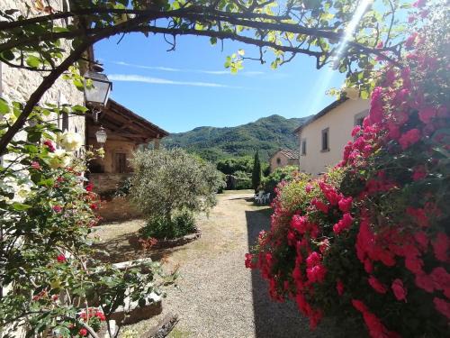 San Godenzo House | Comfy home in San Godenzo with Lake nearby