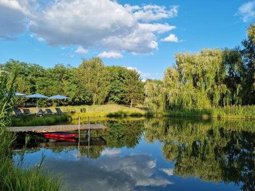 Kiskunmajsa House | Cooles Lofthouse mit Pool