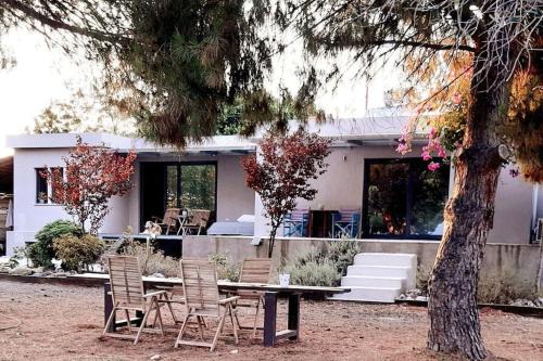 Agii Theodori Villa | Coralia's beachfront sea view studio