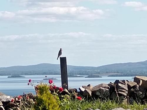 Clonbur House | Corrib view cabin