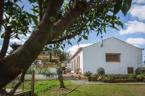 Ermidas-Sado Villa | Costa Vicentina Villa with Garden Pool and View