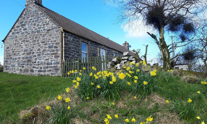 Port William Cottage | Cosy Family Cottage In Rolling Country Near Beach - Sleeps 5