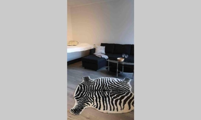 Hameenkyla Apartment | Cosy studio near by AirPort, 2min from train!