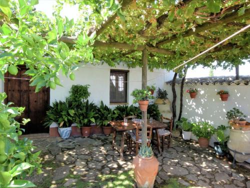 Algarinejo House | Cottage in Fuentes de Cesna with swimming pool