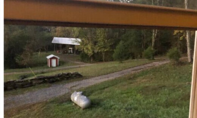Olivehill Other | Country Paradise