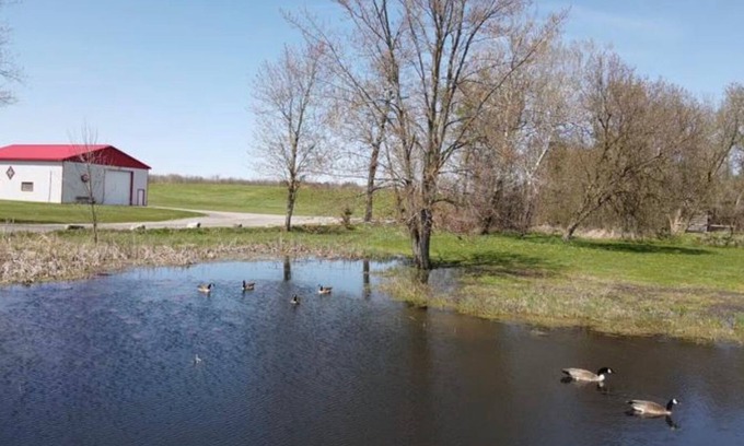 Hamilton Other | Coutryside House with a huge backyard and private pool ( under maintenance )