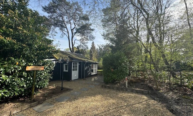 Beerze House | Cozy and cozy wooden cottage, Extraordinary Beerze. Pet-friendly