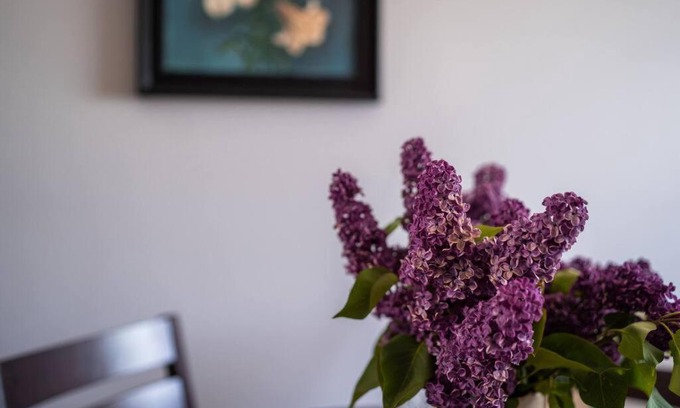 Kardla Apartment | Cozy apartment in the city center of Kärdla