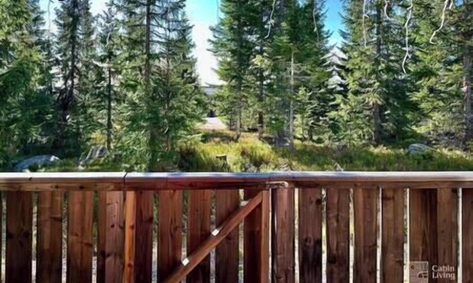 Ringsaker Apartment | Cozy apartment ski in/out, BBQ & Wifi Sjusjøen
