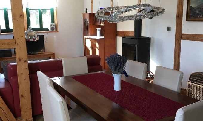 Ilsenburg Apartment | Cozy apartment with a fireplace